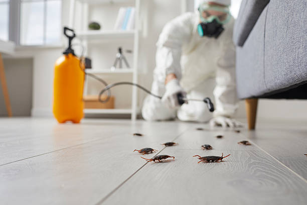 Commercial Kitchen Cockroach Control in Cherryvale